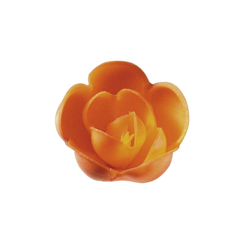 Rosa N-7 Salmón Tupper Personalizado