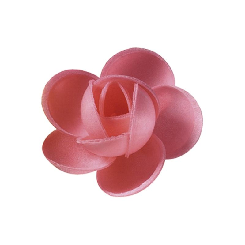 Rosa N-1 Rosa Tupper Personalizado