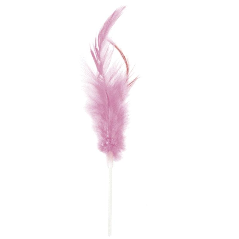 Plumas Pequeñas Rosas