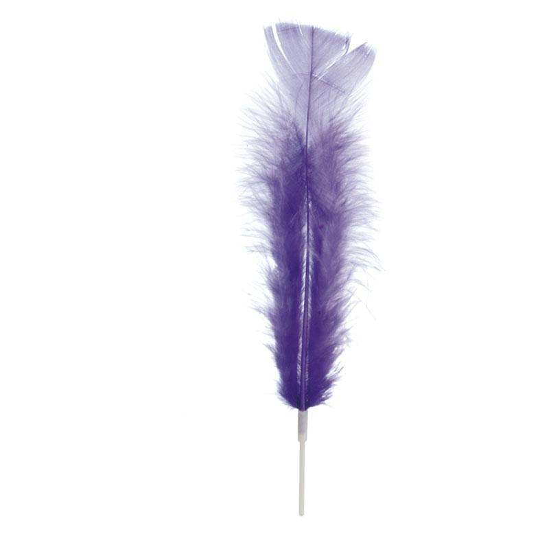 Plumas Grandes Lilas