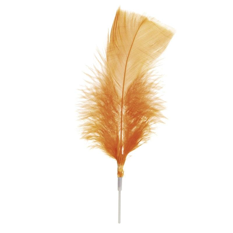 Plumas Grandes Naranjas