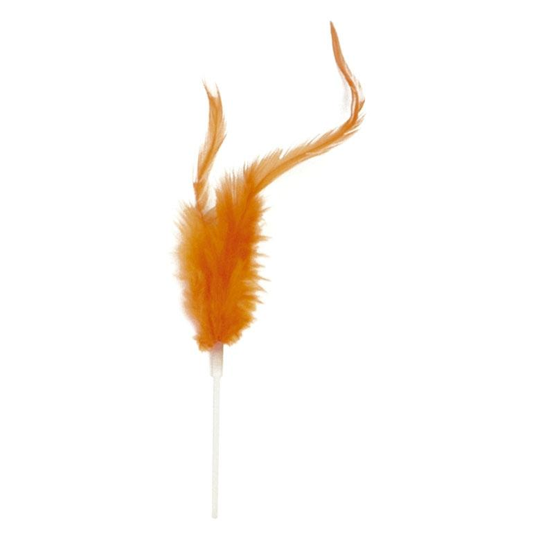 Plumas Pequeñas Naranjas