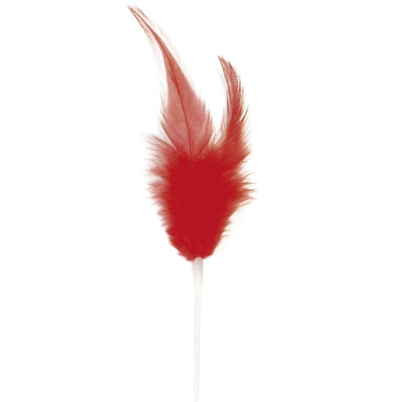 Plumas Pequeñas Rojas