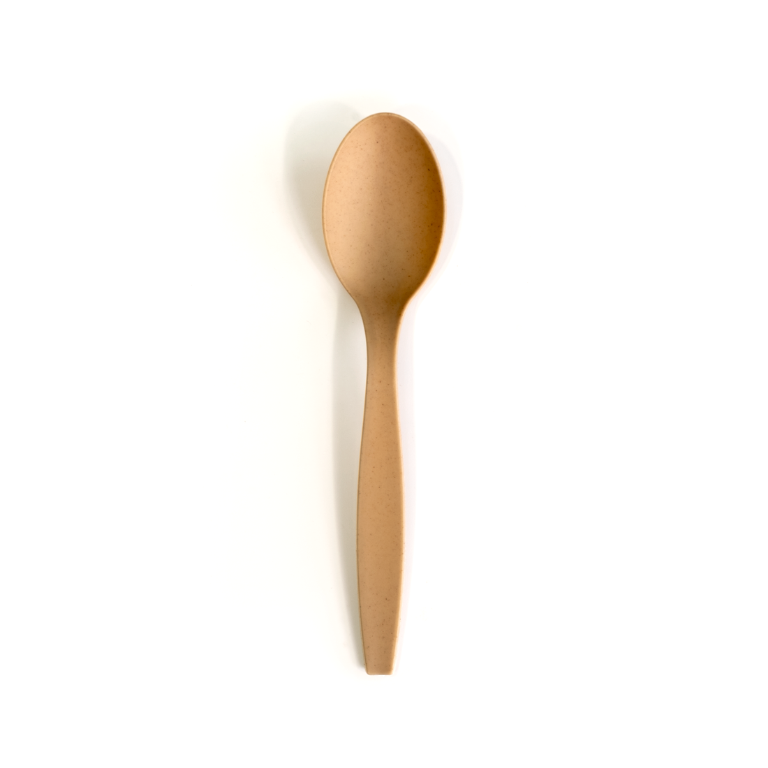 Cuchara de Fibra de caña de azúcar
