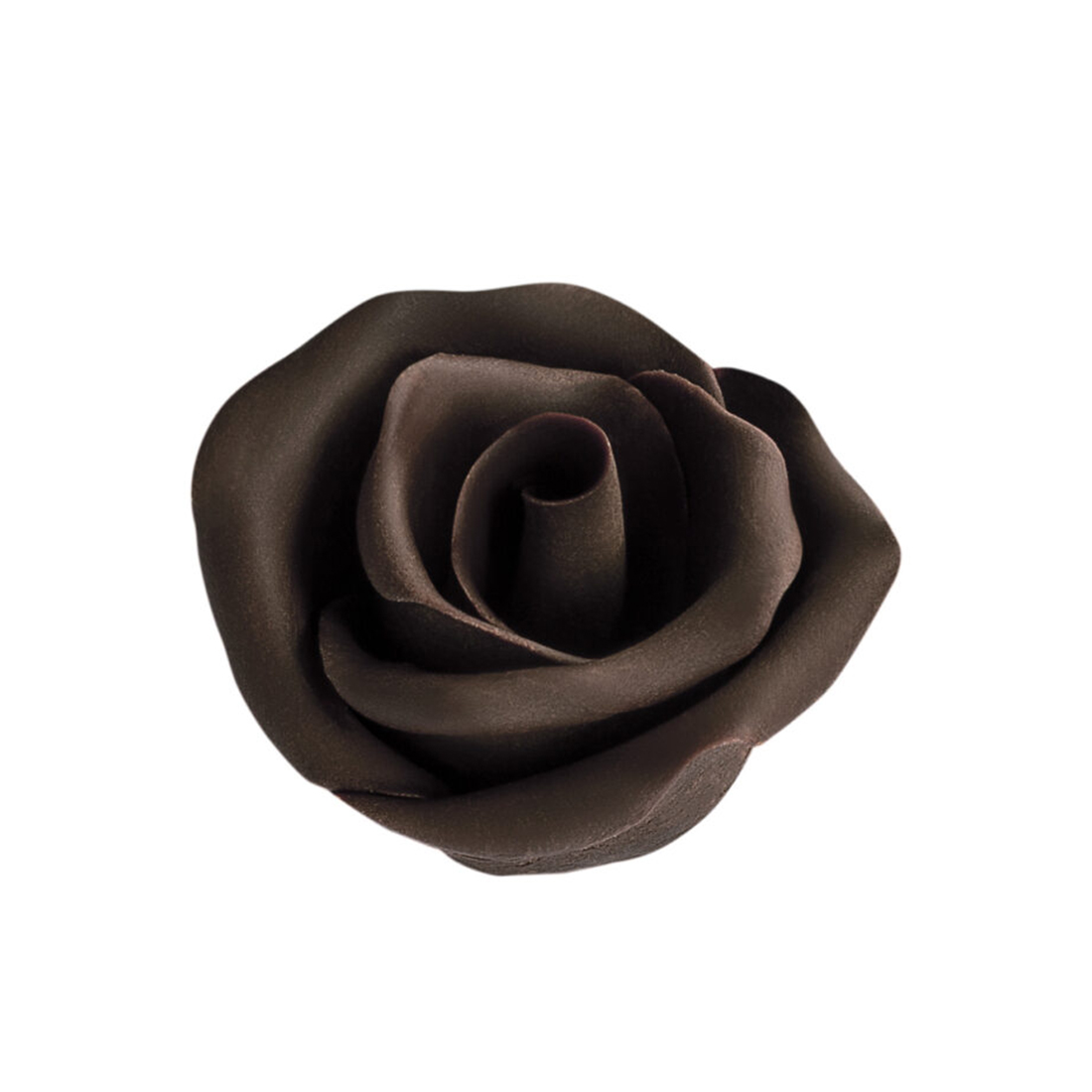 Rosa de Chocolate Negra (30 u.)