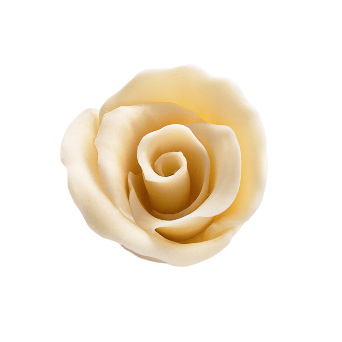 Rosa de Chocolate Blanca (30 u.)