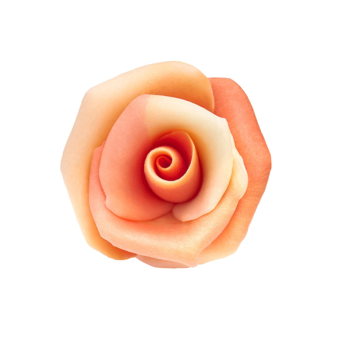 Rosa de Chocolate Salmón (30 u.)