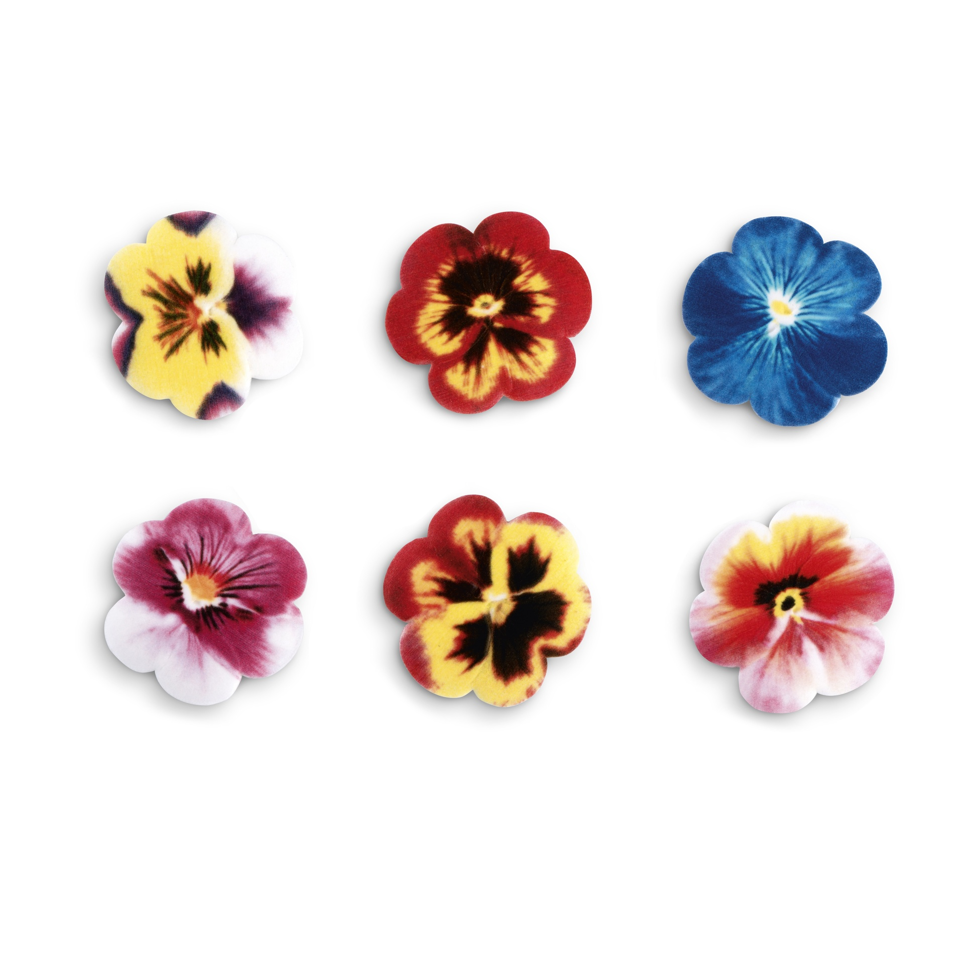 Petunias ø 30 mm (100 u.)