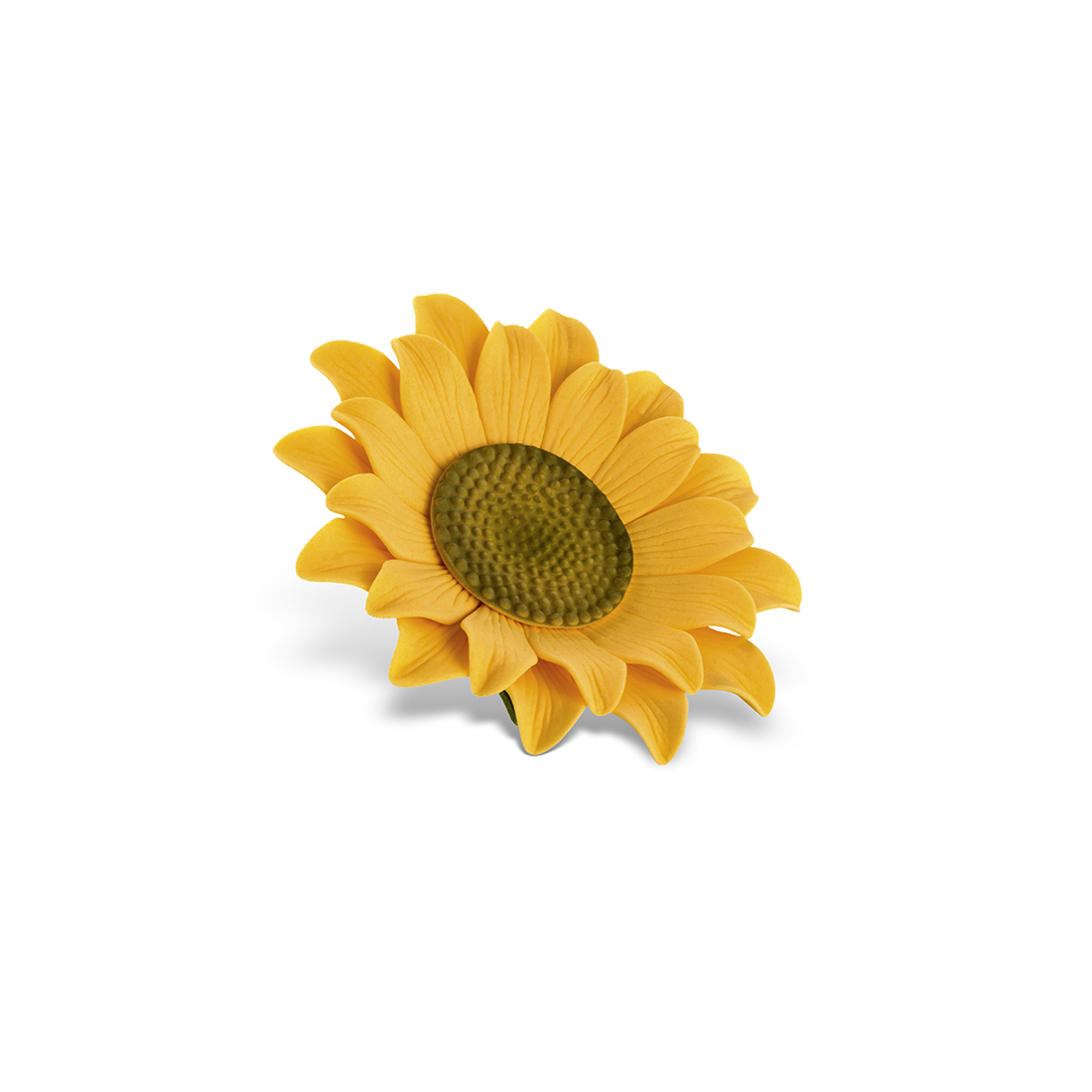 Girasol de Azúcar ø 50 mm (18 u.)