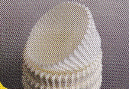 Capsulas Barba Super E Nº 8 Paquete 1.5 Millares