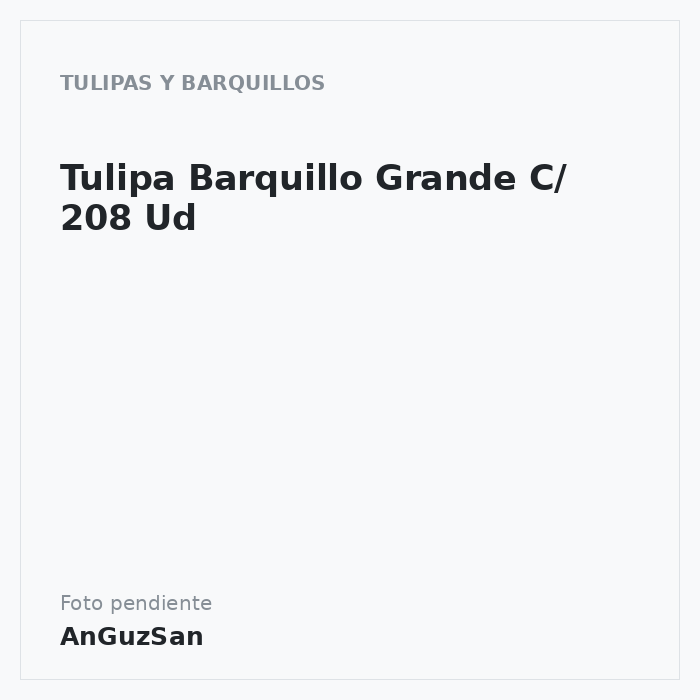 Tulipa Barquillo Grande C/ 208 Ud